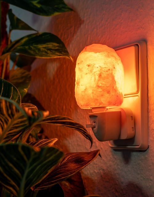 Nawwaseh- النوَّاسة